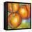 Abstract Fruits II-Chariklia Zarris-Framed Stretched Canvas