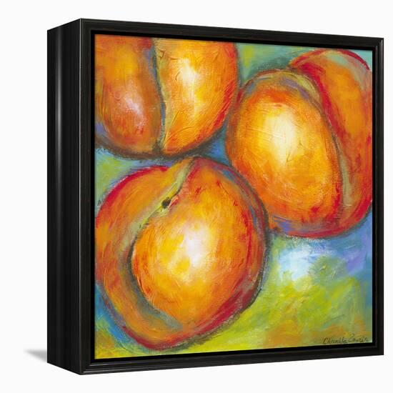 Abstract Fruits II-Chariklia Zarris-Framed Stretched Canvas