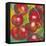 Abstract Fruits III-Chariklia Zarris-Framed Stretched Canvas