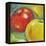 Abstract Fruits IV-Chariklia Zarris-Framed Stretched Canvas