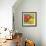 Abstract Fruits IV-Chariklia Zarris-Framed Premium Giclee Print displayed on a wall