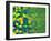 Abstract Geometric Brazil Flag-cienpies-Framed Art Print