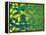 Abstract Geometric Brazil Flag-cienpies-Framed Stretched Canvas