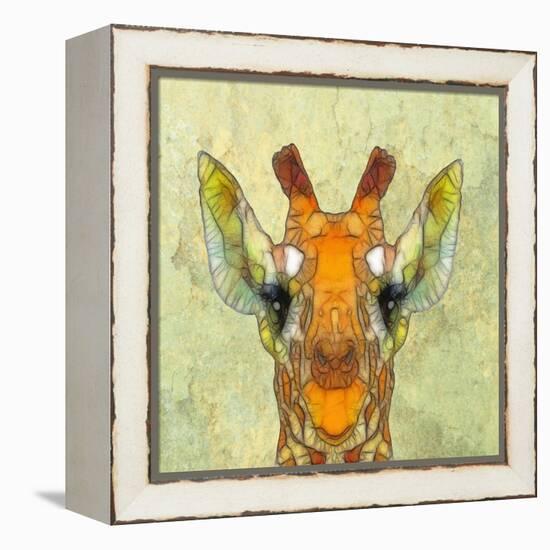 Abstract Giraffe Calf-Ancello-Framed Stretched Canvas