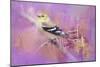 Abstract Goldfinch-Jai Johnson-Mounted Giclee Print