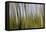 Abstract Grass 1214-Rica Belna-Framed Premier Image Canvas