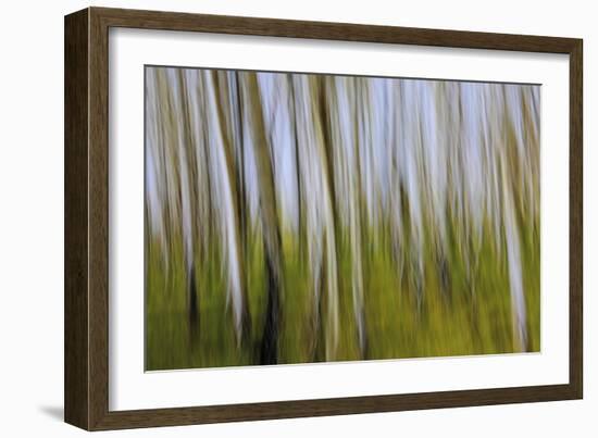 Abstract Grass 1214-Rica Belna-Framed Giclee Print