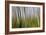 Abstract Grass 1214-Rica Belna-Framed Giclee Print