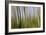 Abstract Grass 1214-Rica Belna-Framed Giclee Print