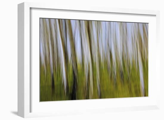 Abstract Grass 1214-Rica Belna-Framed Giclee Print