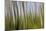 Abstract Grass 1214-Rica Belna-Mounted Giclee Print