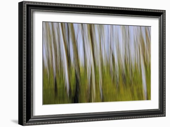 Abstract Grass 1214-Rica Belna-Framed Giclee Print