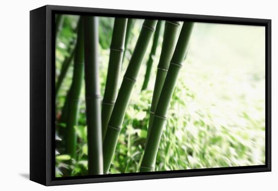 Abstract Green Bamboo Grove.-Liang Zhang-Framed Premier Image Canvas