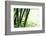 Abstract Green Bamboo Grove.-Liang Zhang-Framed Photographic Print