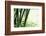 Abstract Green Bamboo Grove.-Liang Zhang-Framed Photographic Print