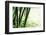 Abstract Green Bamboo Grove.-Liang Zhang-Framed Photographic Print