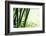 Abstract Green Bamboo Grove.-Liang Zhang-Framed Photographic Print