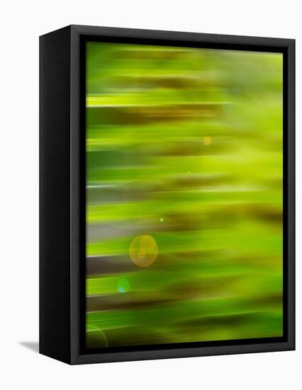 Abstract green flora-Savanah Plank-Framed Stretched Canvas