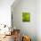 Abstract green flora-Savanah Plank-Photo displayed on a wall