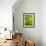 Abstract green flora-Savanah Plank-Framed Photo displayed on a wall