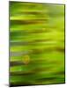 Abstract green flora-Savanah Plank-Mounted Photo