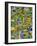 Abstract Image of a Circuit Board.-Tony Craddock-Framed Photographic Print