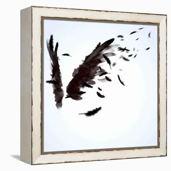 Abstract Image Of Black Wings Against Light Background-Sergey Nivens-Framed Stretched Canvas
