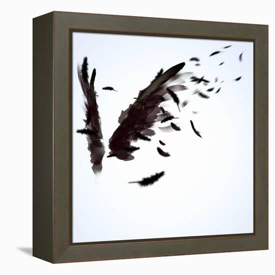 Abstract Image Of Black Wings Against Light Background-Sergey Nivens-Framed Stretched Canvas