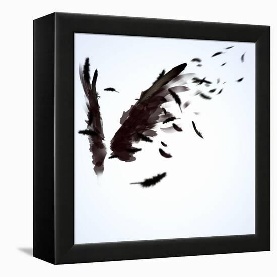 Abstract Image Of Black Wings Against Light Background-Sergey Nivens-Framed Stretched Canvas