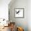 Abstract Image Of Black Wings Against Light Background-Sergey Nivens-Framed Premium Giclee Print displayed on a wall