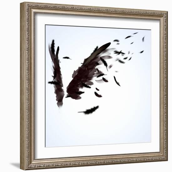 Abstract Image Of Black Wings Against Light Background-Sergey Nivens-Framed Premium Giclee Print