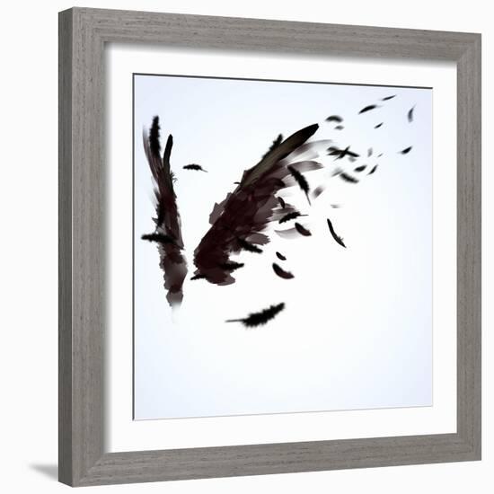 Abstract Image Of Black Wings Against Light Background-Sergey Nivens-Framed Premium Giclee Print