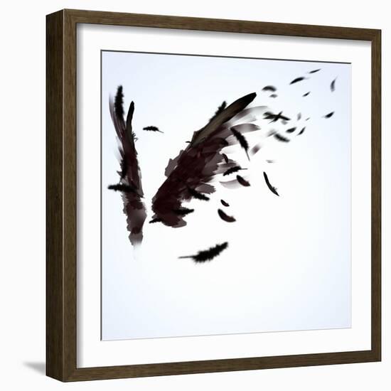 Abstract Image Of Black Wings Against Light Background-Sergey Nivens-Framed Premium Giclee Print