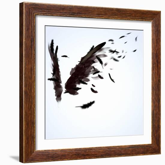 Abstract Image Of Black Wings Against Light Background-Sergey Nivens-Framed Premium Giclee Print