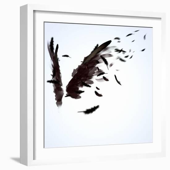 Abstract Image Of Black Wings Against Light Background-Sergey Nivens-Framed Premium Giclee Print