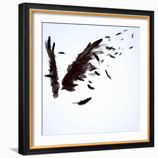 Abstract Image Of Black Wings Against Light Background-Sergey Nivens-Framed Premium Giclee Print