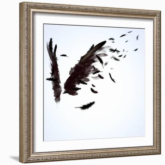 Abstract Image Of Black Wings Against Light Background-Sergey Nivens-Framed Art Print