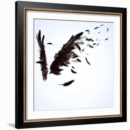 Abstract Image Of Black Wings Against Light Background-Sergey Nivens-Framed Art Print