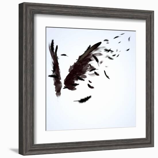 Abstract Image Of Black Wings Against Light Background-Sergey Nivens-Framed Art Print