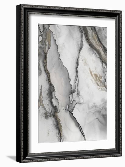 Abstract Ink Fantasy I-Andrea Haase-Framed Art Print