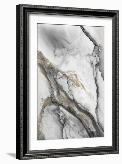 Abstract Ink Fantasy II-Andrea Haase-Framed Art Print