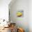 Abstract Kitchen Fruit 1-Jean Plout-Giclee Print displayed on a wall