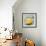 Abstract Kitchen Fruit 1-Jean Plout-Framed Giclee Print displayed on a wall