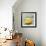 Abstract Kitchen Fruit 1-Jean Plout-Framed Giclee Print displayed on a wall