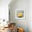 Abstract Kitchen Fruit 1-Jean Plout-Framed Giclee Print displayed on a wall