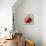 Abstract Kitchen Fruit 2-Jean Plout-Giclee Print displayed on a wall
