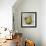 Abstract Kitchen Fruit 4-Jean Plout-Framed Giclee Print displayed on a wall