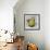 Abstract Kitchen Fruit 4-Jean Plout-Framed Giclee Print displayed on a wall