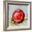 Abstract Kitchen Fruit 5-Jean Plout-Framed Giclee Print