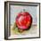 Abstract Kitchen Fruit 5-Jean Plout-Framed Giclee Print